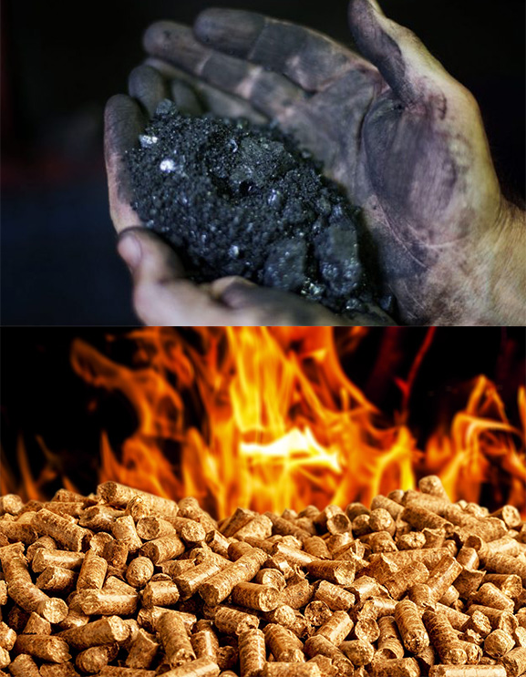 Chuyển Đổi Lò Hơi Đốt Than Sang Biomass: Giải Pháp Tiết Kiệm & Xanh Bền Vững | [GreenBoiler]