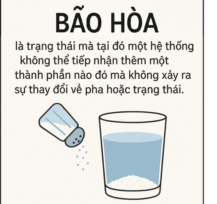 Khái niệm bão hòa là gì?